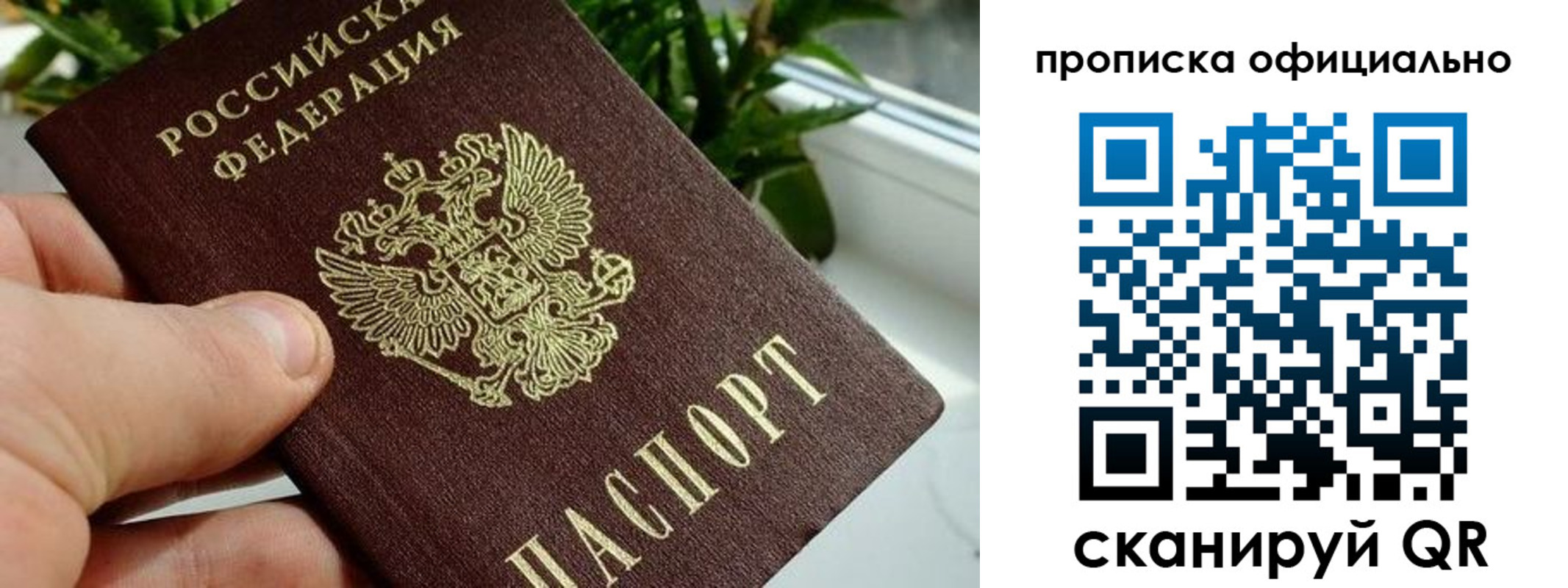 прописка поиск в Куровском